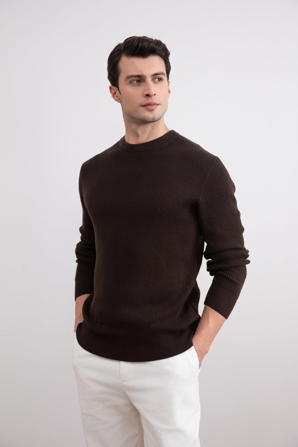 Dark Brown Crewneck Malfilé English Rib Sweater