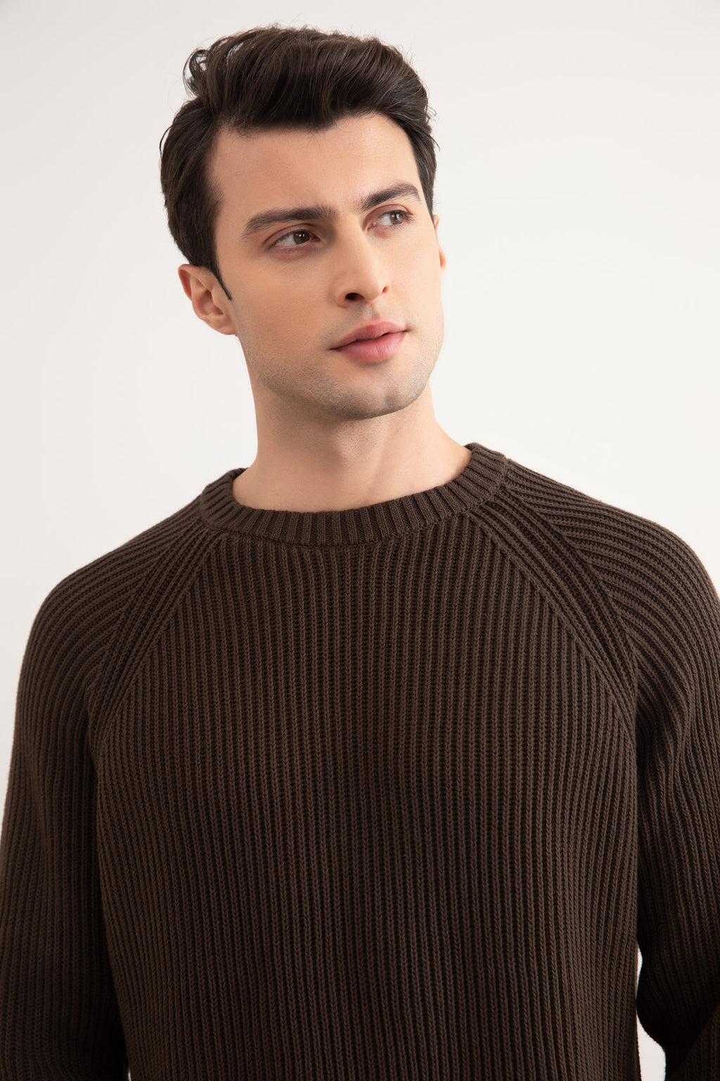 Brown English Rib Crewneck