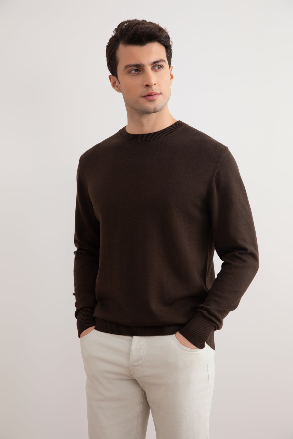 Brown Crewneck Sweater