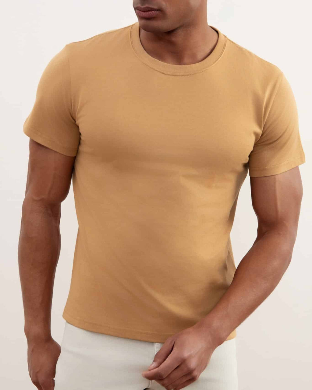 Sand Brown Slim Fit Crew-neck T-shirt